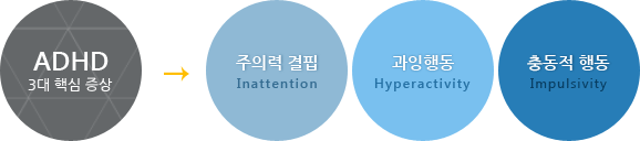 3대 핵심증상 이미지